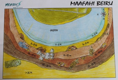 Maafahi Beiru